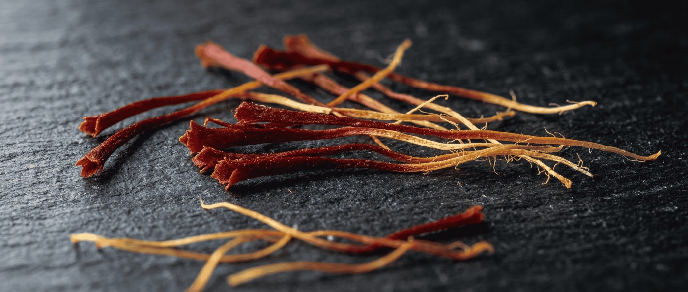 Kashmiri Laccha saffron threads macro close-up — crimson red stigma attached to golden yellow style on dark slate